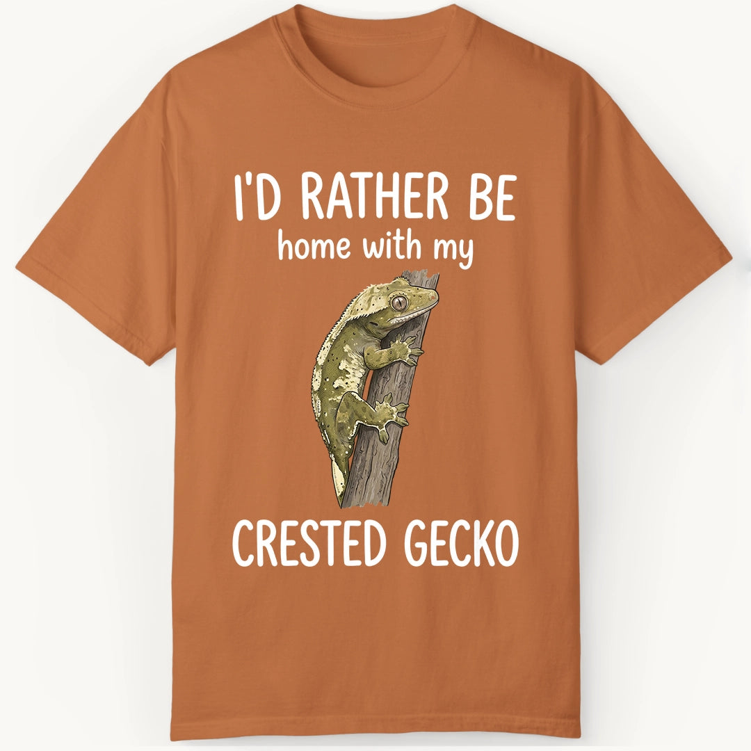 Crested Gecko is Home