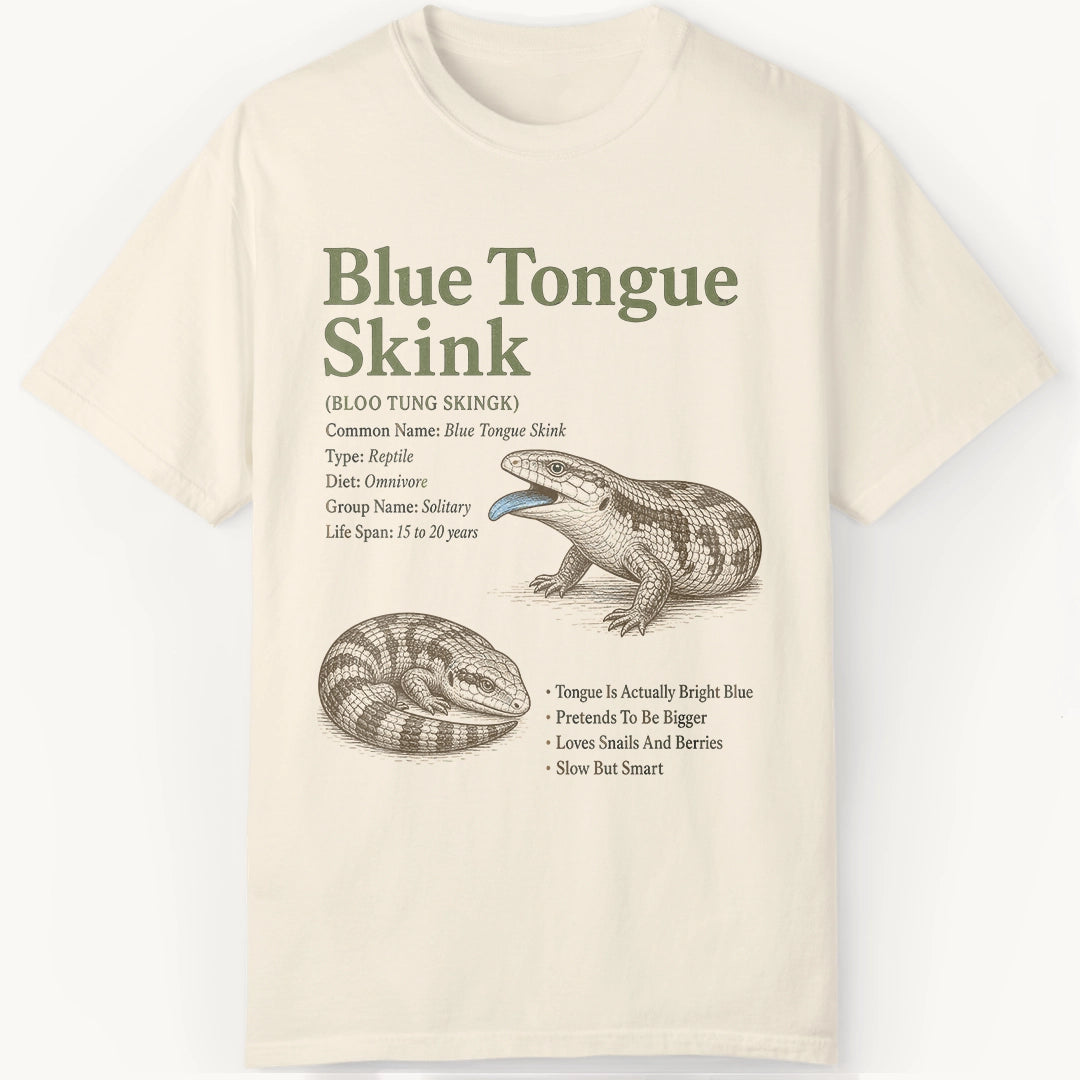 Skink Definition