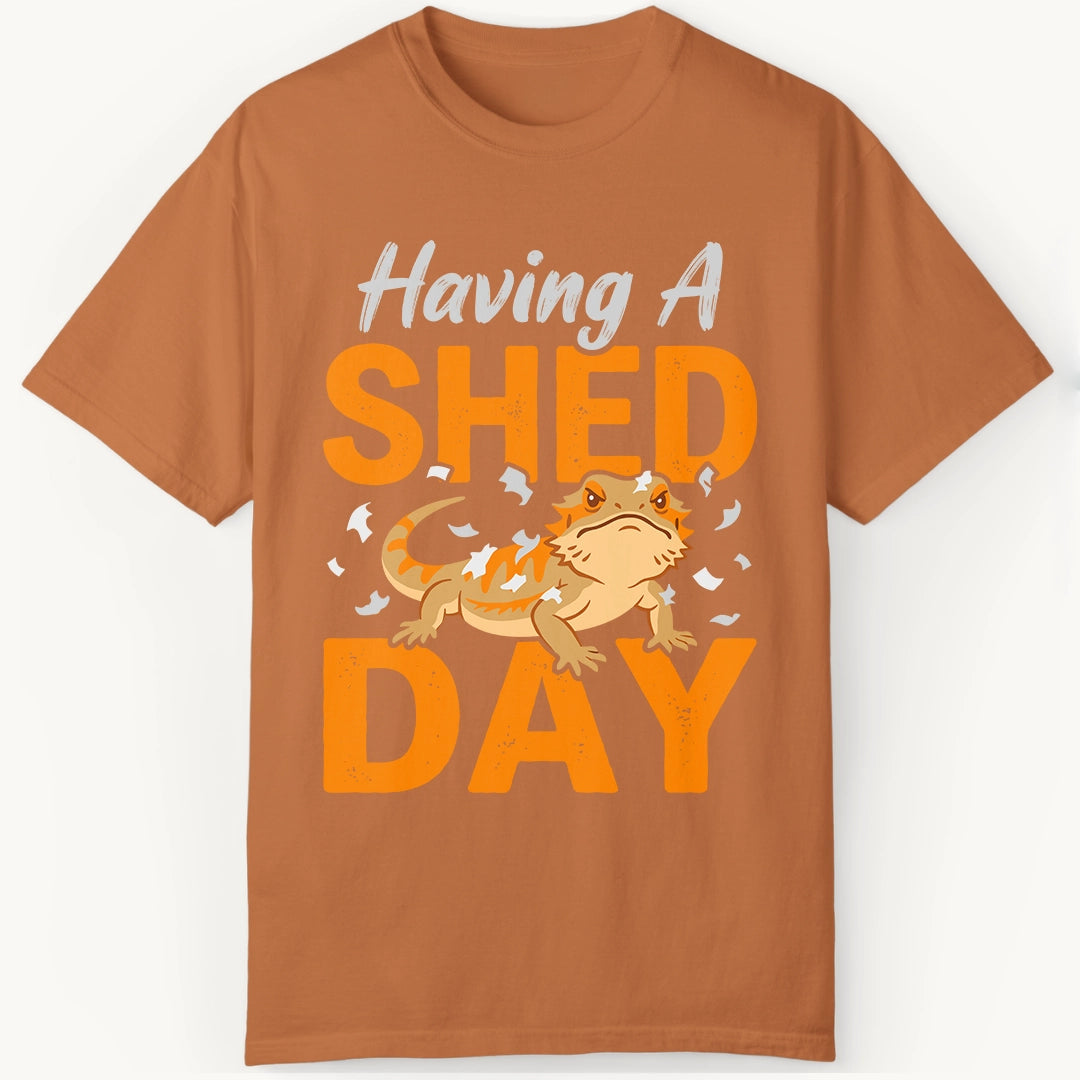 having a Shed Day