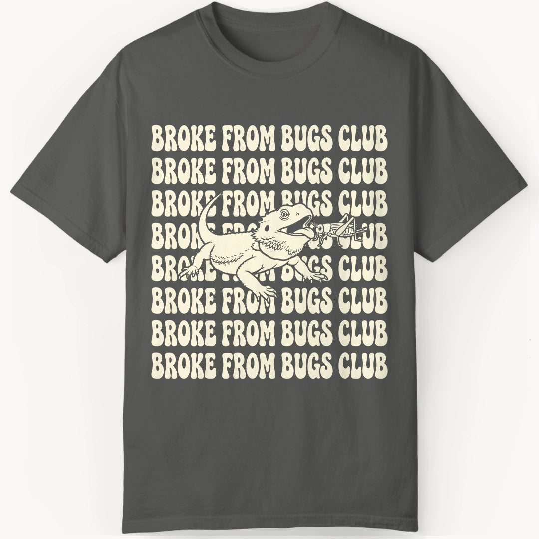 Broke from Bugs
