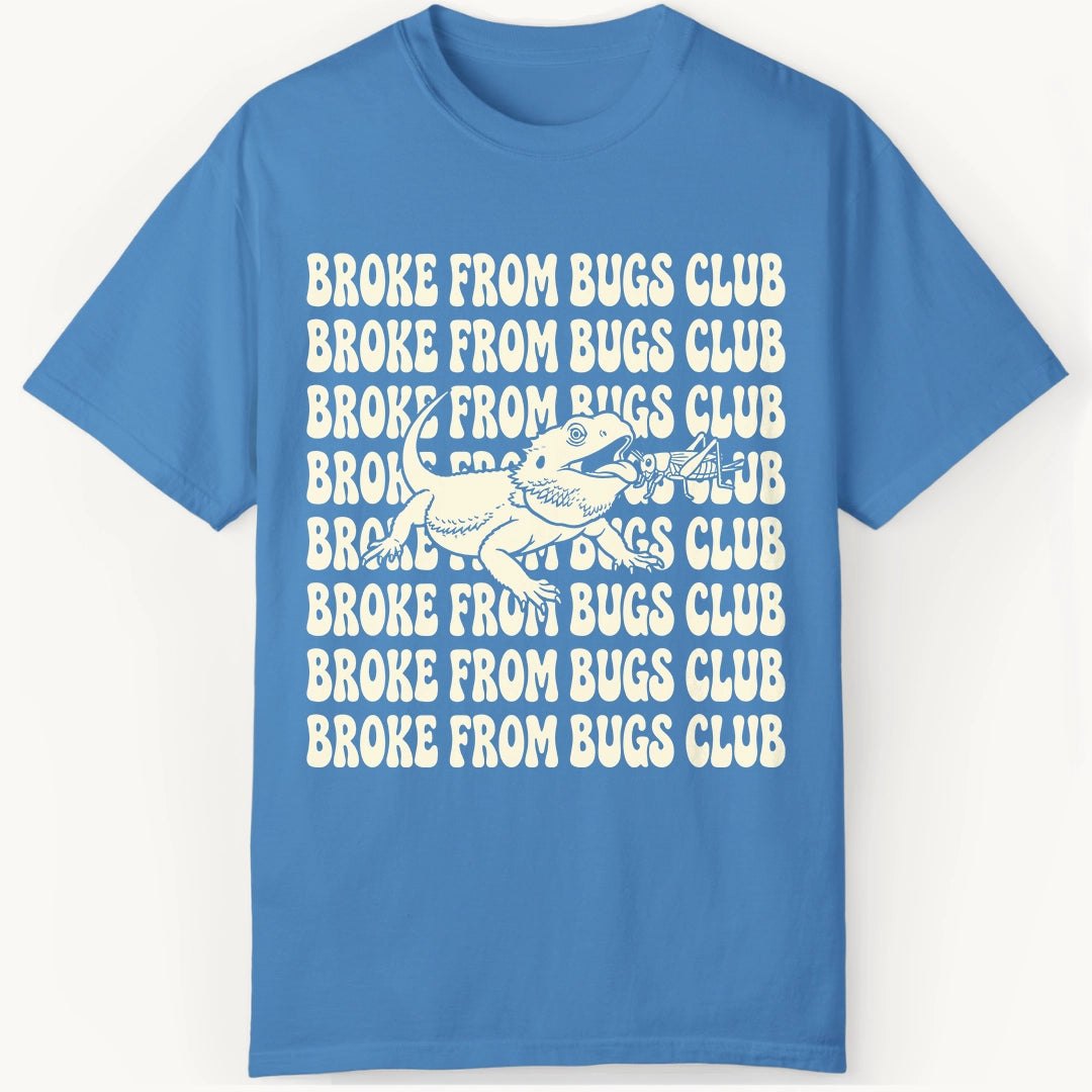 Broke from Bugs