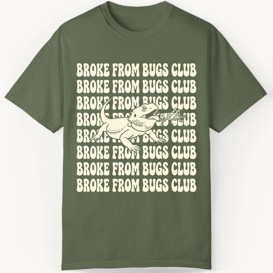 Broke from Bugs