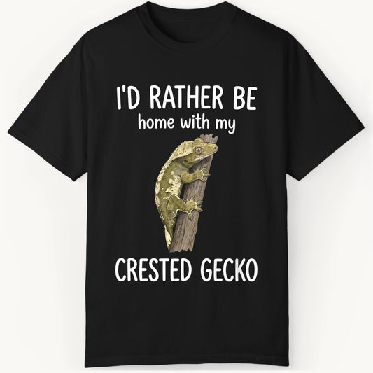 Crested Gecko is Home