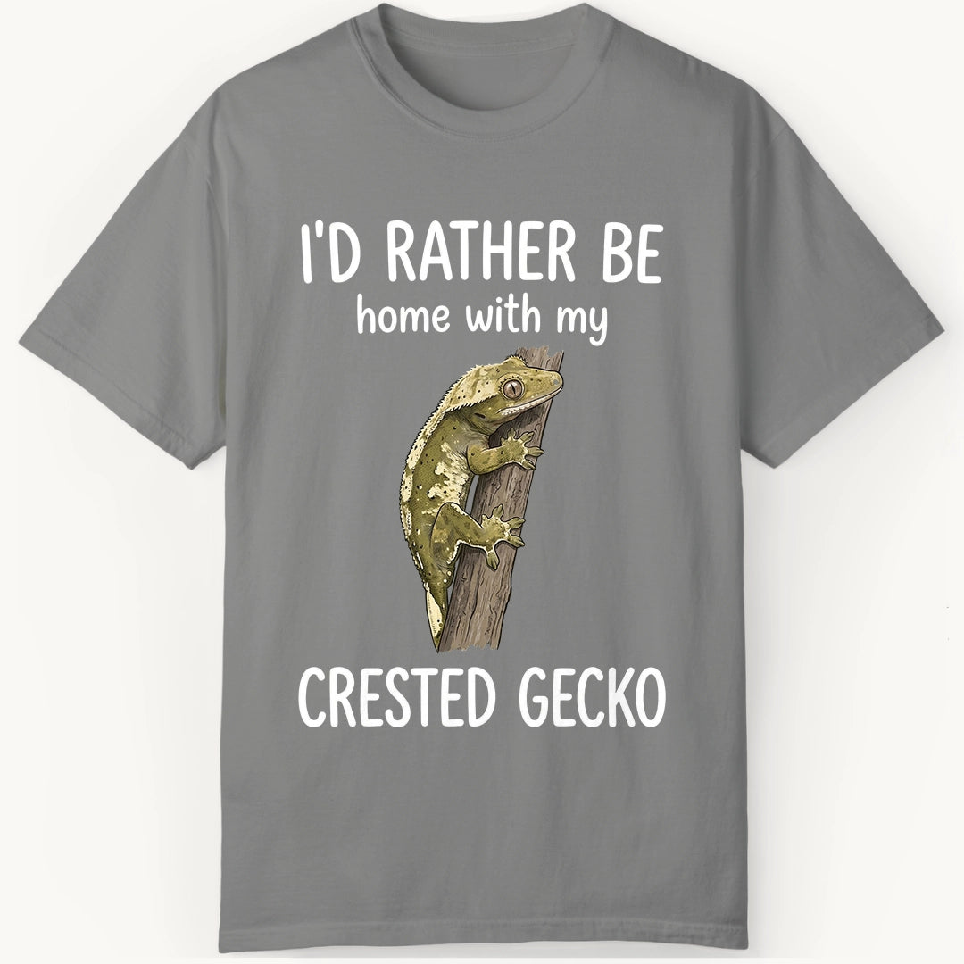 Crested Gecko is Home