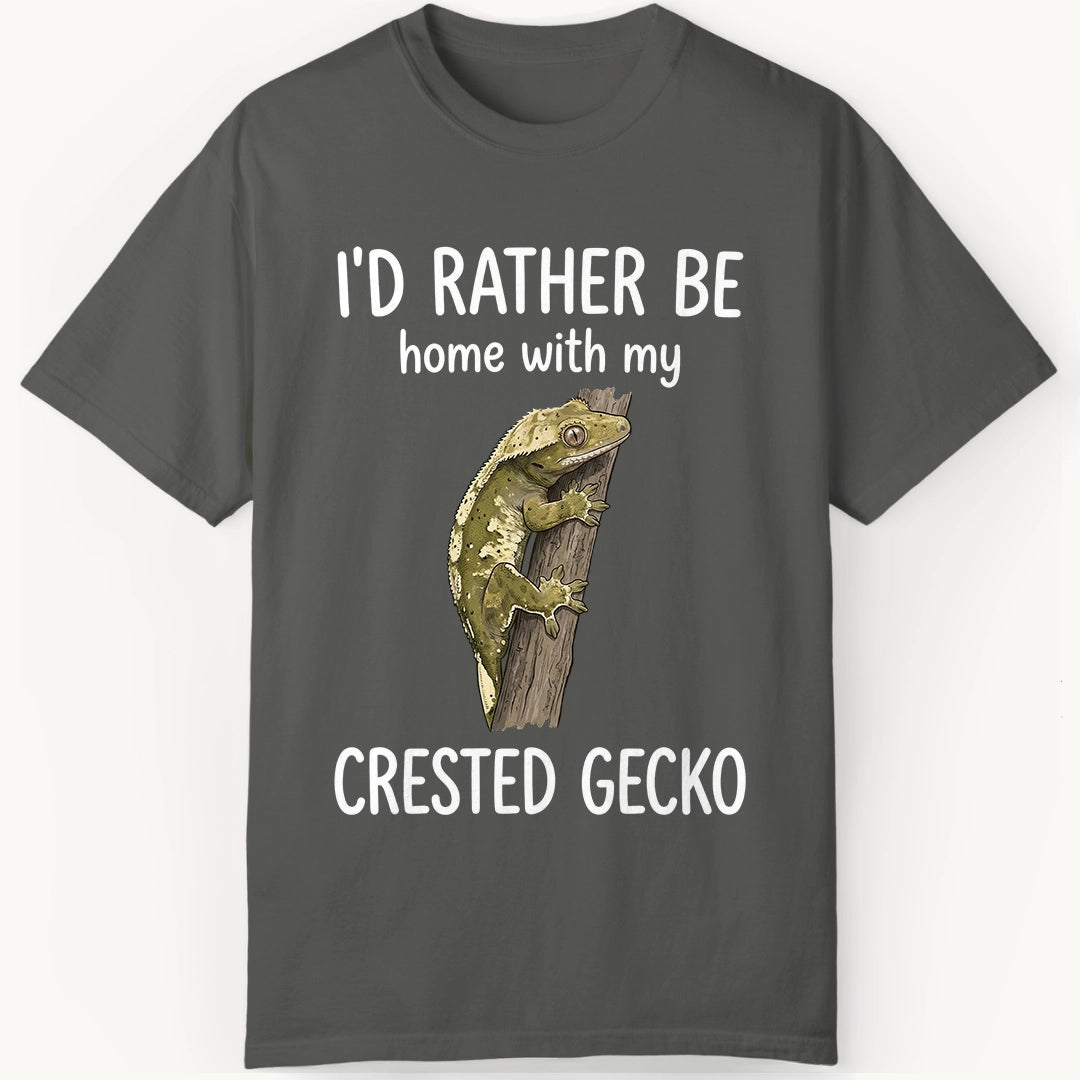 Crested Gecko is Home