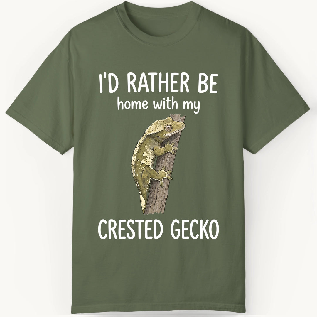 Crested Gecko is Home