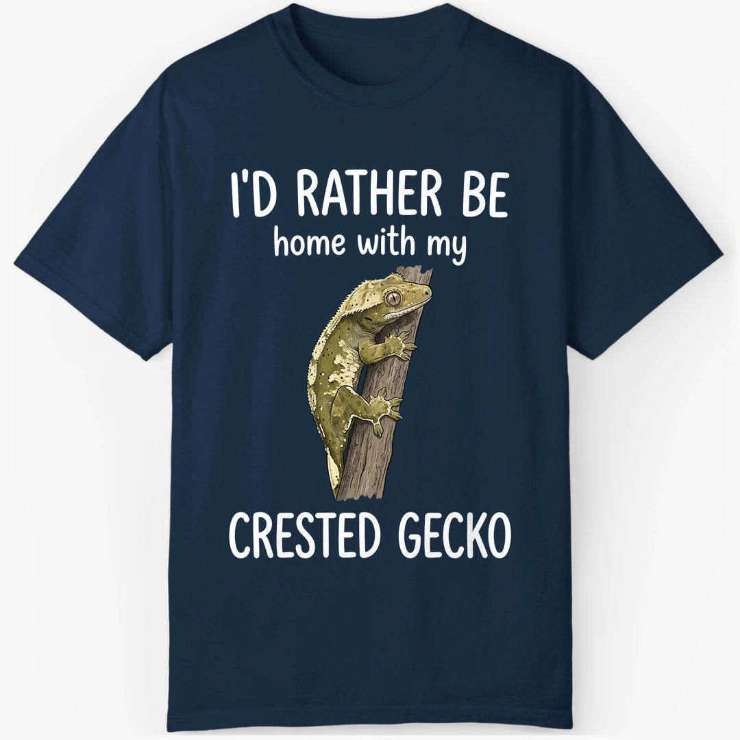 Crested Gecko is Home