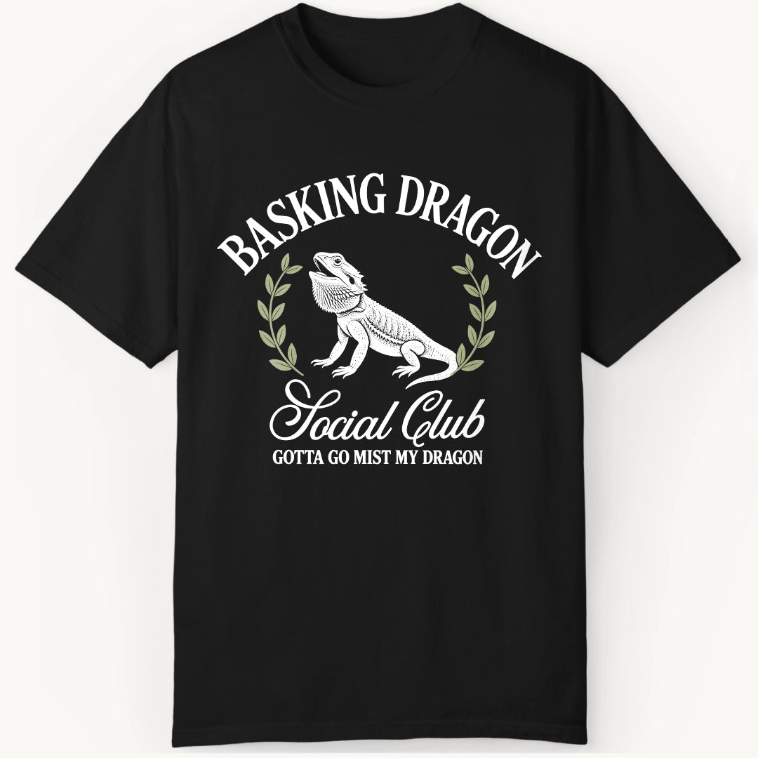 Mist my Dragon