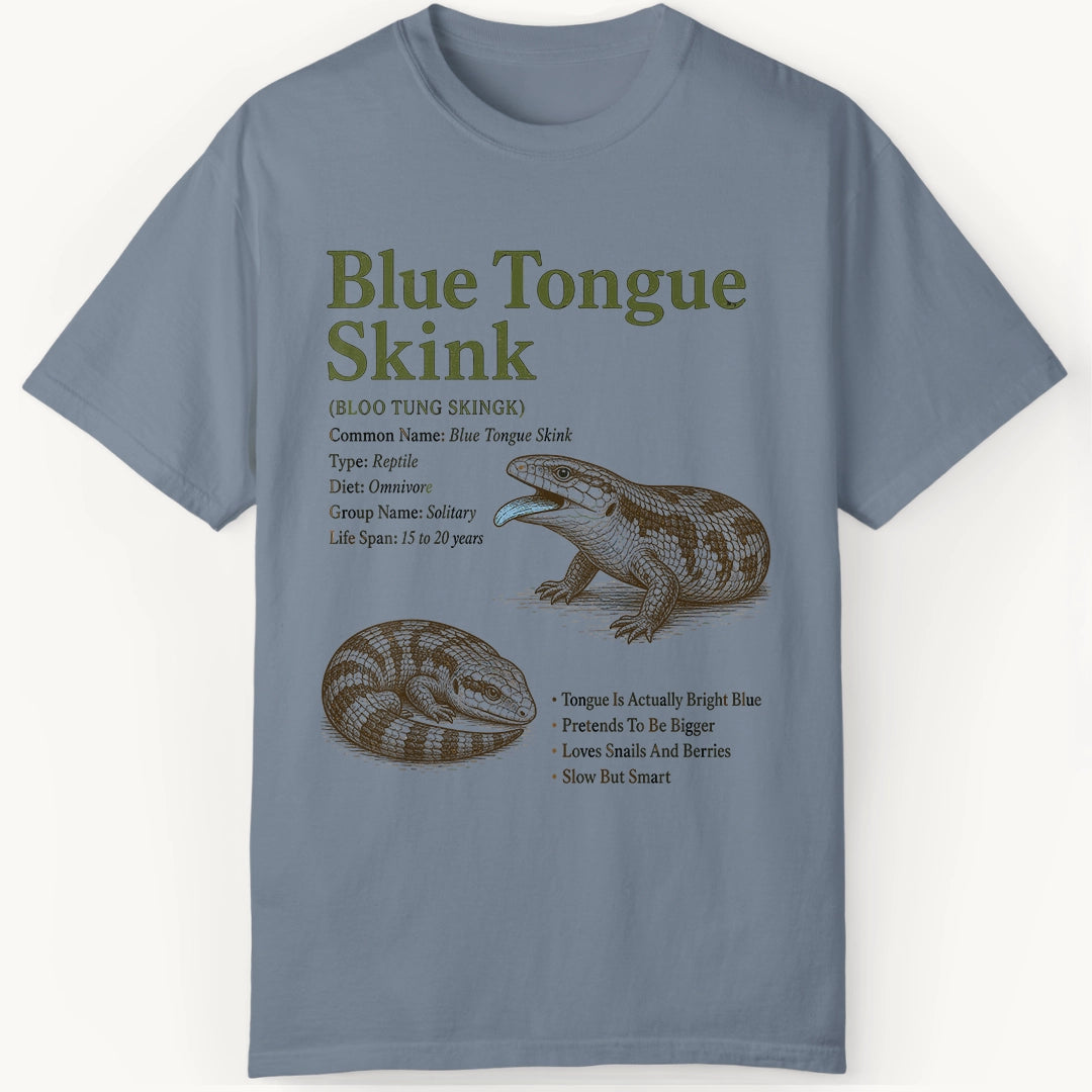 Skink Definition