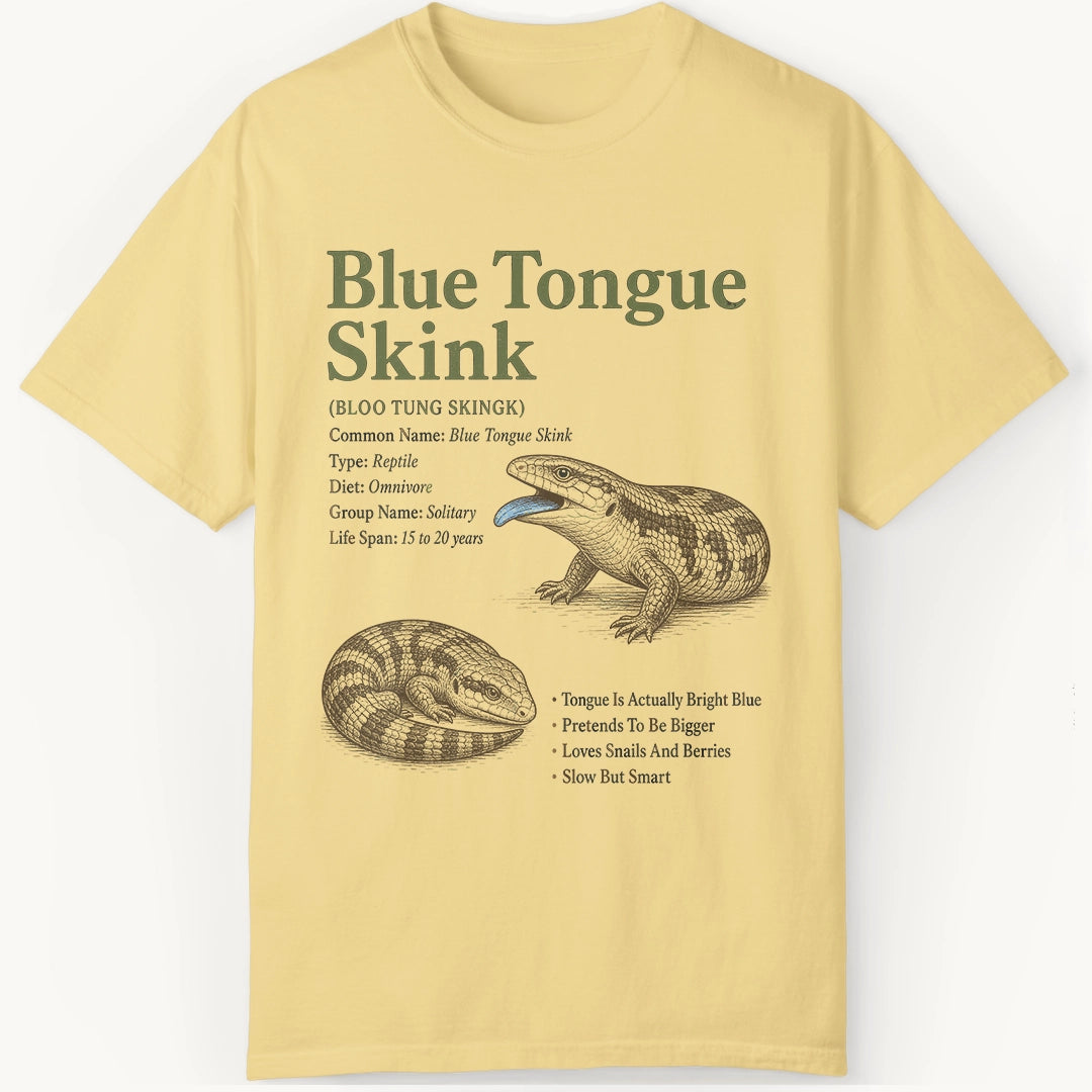 Skink Definition