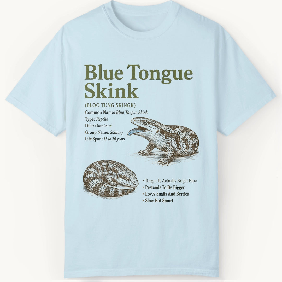 Skink Definition
