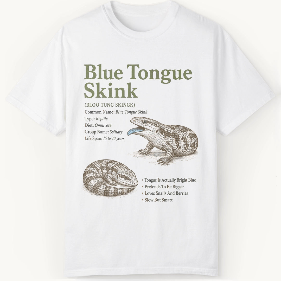 Skink Definition