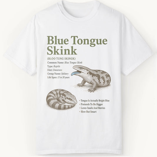 Skink Definition