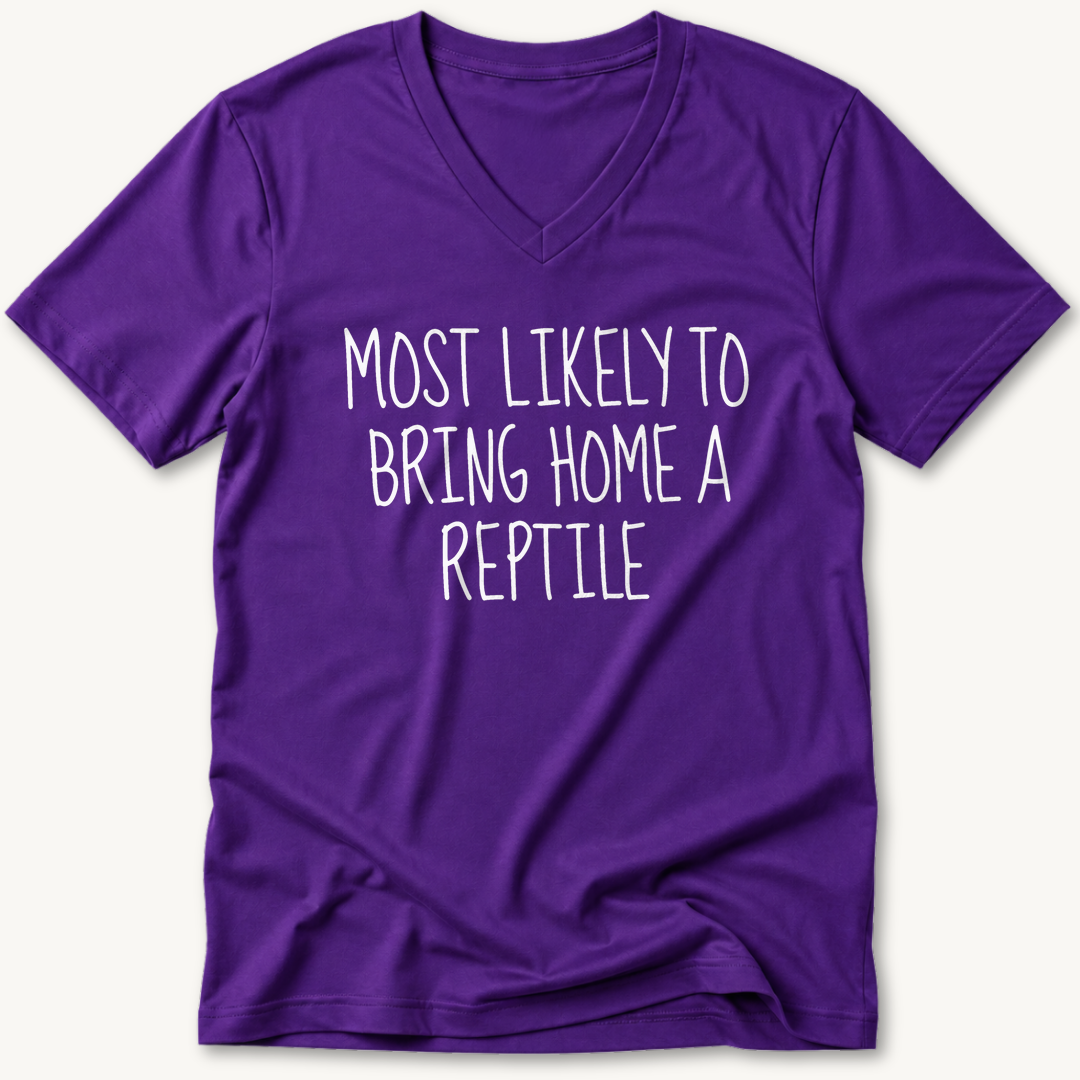 Team Purple