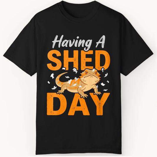 having a Shed Day