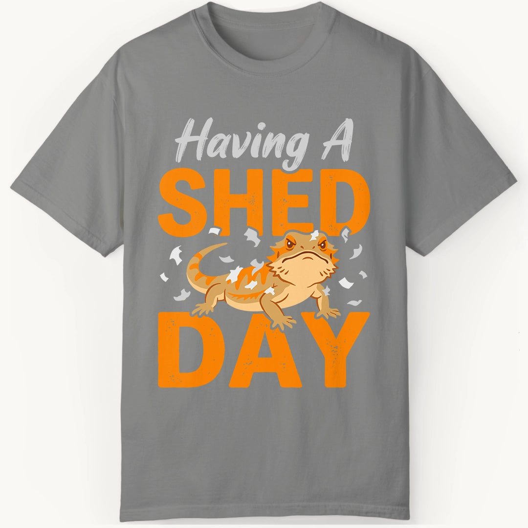 having a Shed Day