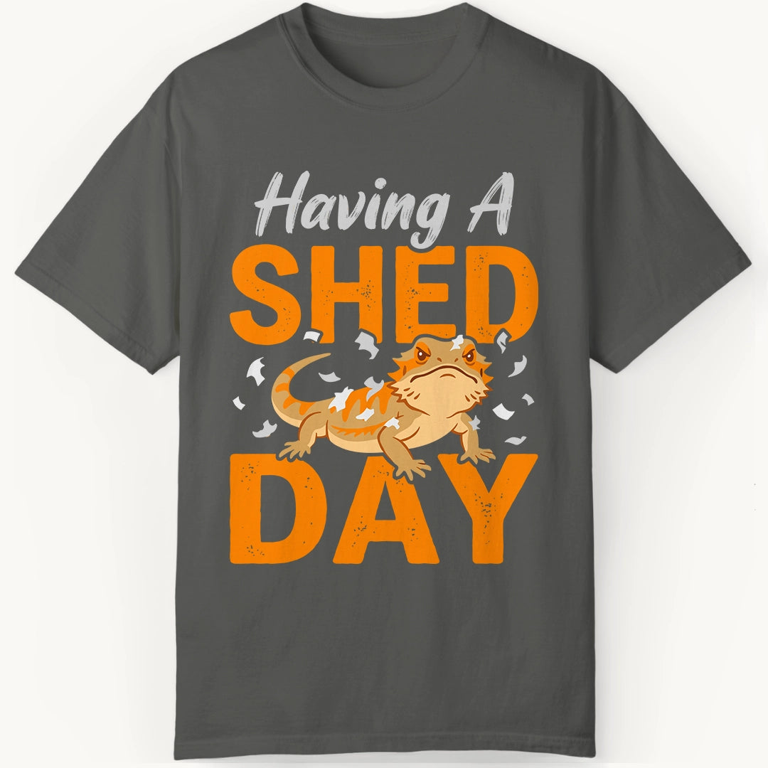 having a Shed Day
