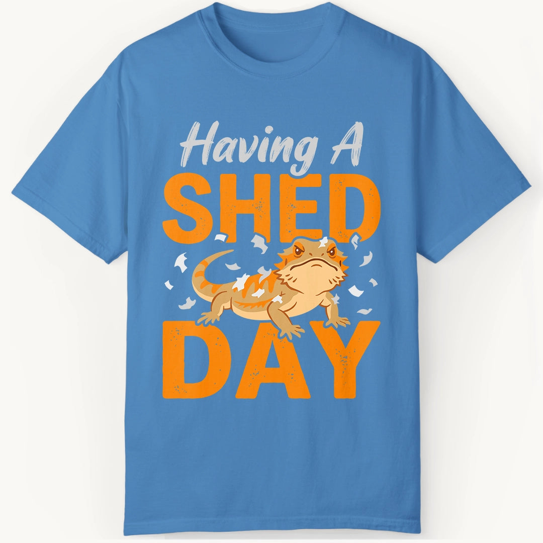 having a Shed Day