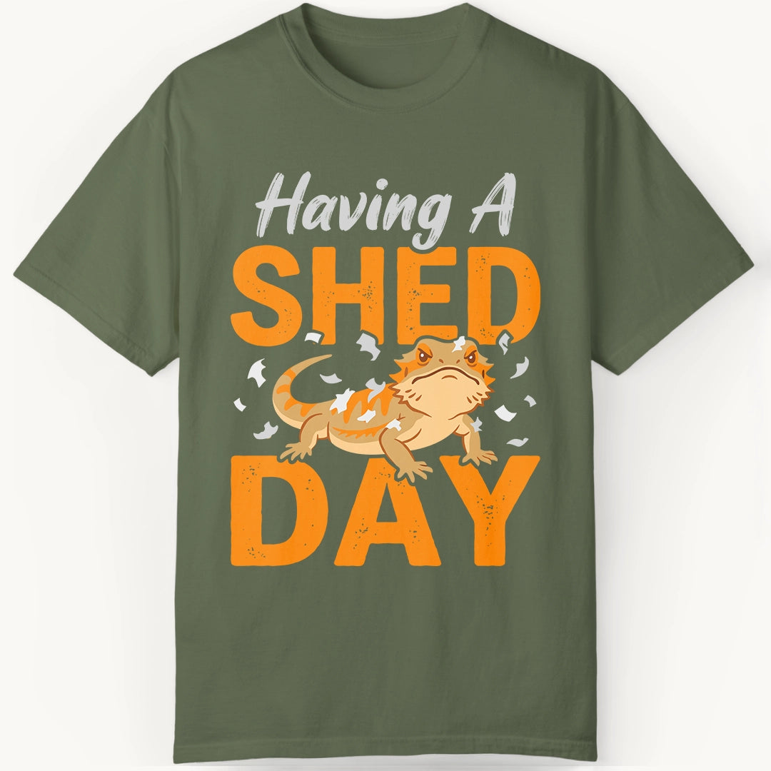 having a Shed Day