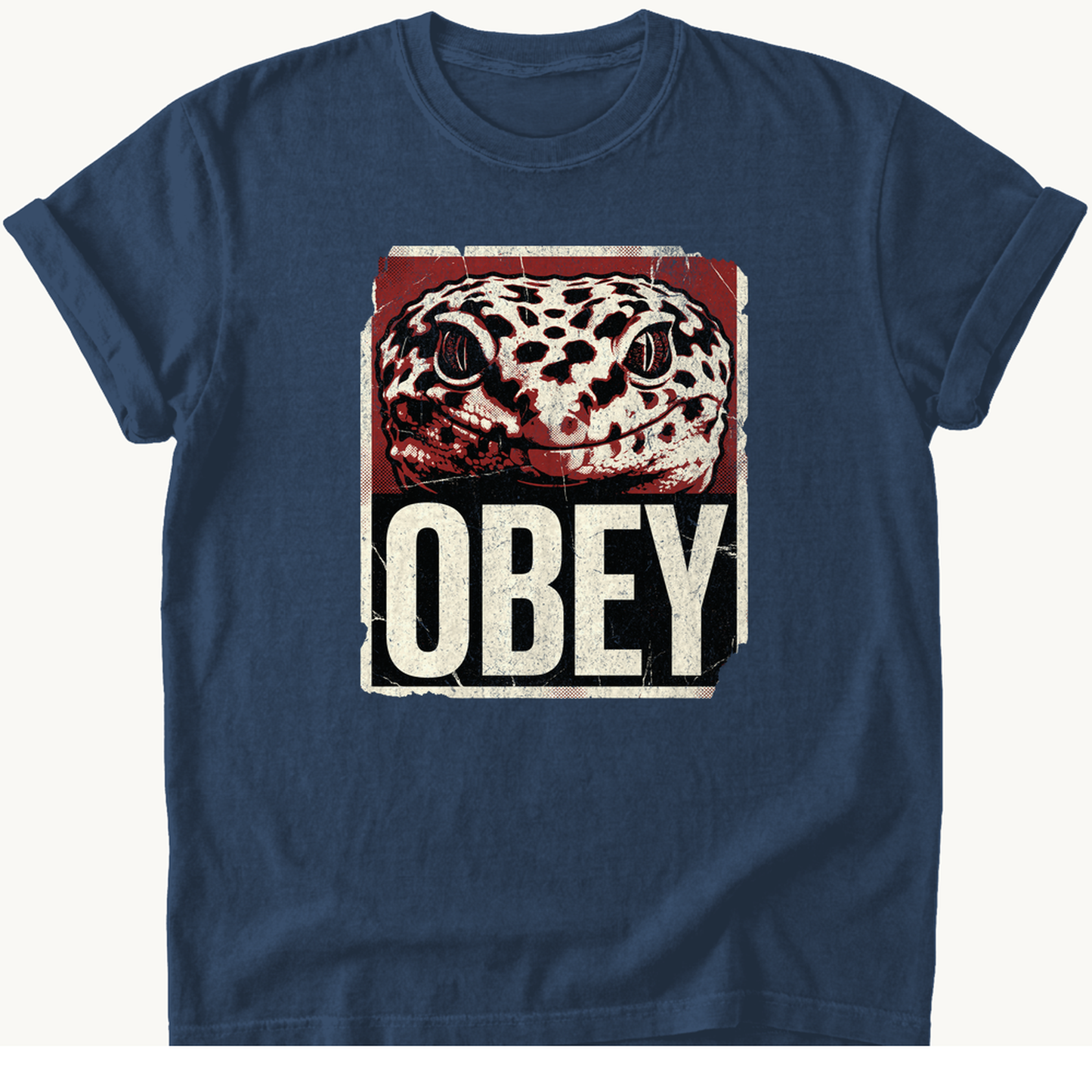 True Navy